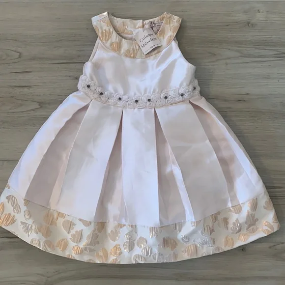 Catherine Malandrino Dresses | Nwt Beautiful *Catherine Malandrino Mini* Blush And Rose Gold Dress 3t | Color: Gold/Pink | Size: 3tg | Catherine Malandrino Dresses | Nwt Beautiful *Catherine Malandrino Mini* Blush And Rose Gold Dress 3t | Color: Gold/Pink | Size: 3tg |